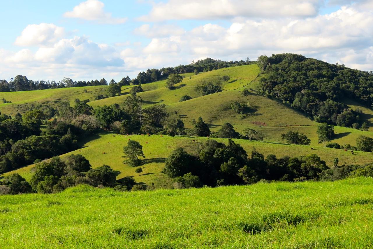 Reesville QLD South Australia Travel