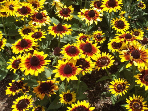 Eastgate On The Range Motel - South Australia Travel 16