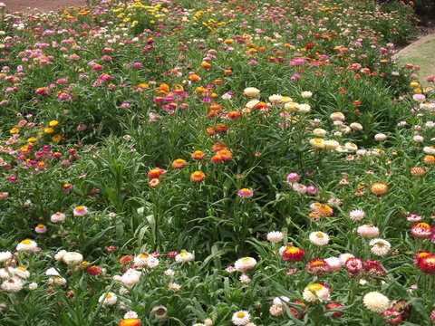 Eastgate On The Range Motel - South Australia Travel 37