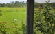 Hay Point Country BnB - thumb 6