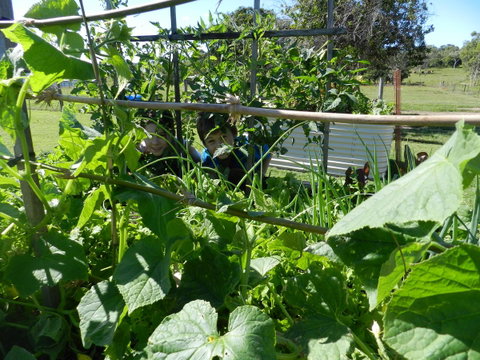 Hay Point Country BnB - South Australia Travel 17