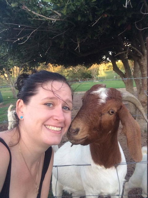 Hay Point Country BnB - South Australia Travel 13