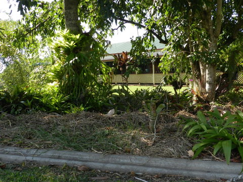 Hay Point Country BnB - South Australia Travel 23