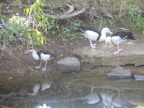 Hay Point Country BnB - South Australia Travel 22