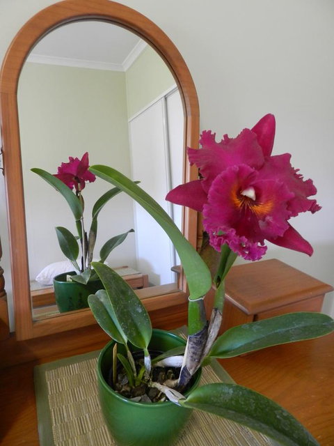 Hay Point Country BnB - South Australia Travel 10