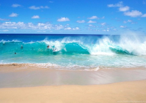 Spectrum Holiday Apartments - South Australia Travel 10