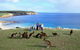 Waves & Wildlife Cottages Kangaroo Island - thumb 1