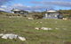 Waves & Wildlife Cottages Kangaroo Island - thumb 3