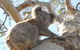Waves & Wildlife Cottages Kangaroo Island - thumb 23