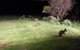 Beeâ€™s Place - 3 Bedroom Home On 10 Acres Of Land With Distant Ocean Views - thumb 13