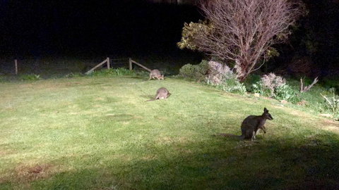 Beeâ€™s Place - 3 Bedroom Home On 10 Acres Of Land With Distant Ocean Views - South Australia Travel 13