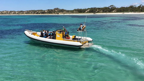 Beeâ€™s Place - 3 Bedroom Home On 10 Acres Of Land With Distant Ocean Views - South Australia Travel 29