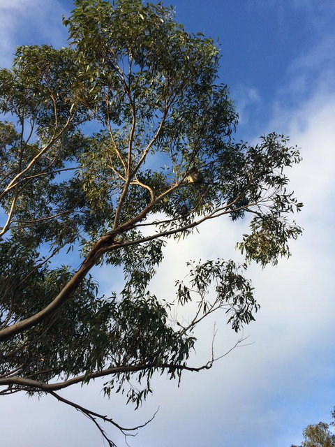 Beeâ€™s Place - 3 Bedroom Home On 10 Acres Of Land With Distant Ocean Views - South Australia Travel 25