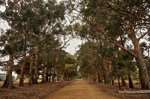 Hanson Bay Cabins - South Australia Travel 21