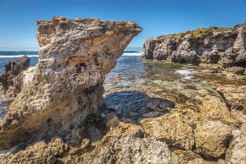 Hanson Bay Cabins - South Australia Travel 2