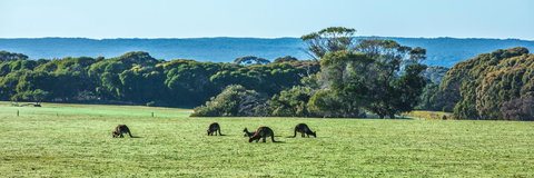 Hanson Bay Cabins - South Australia Travel 23
