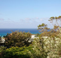 Seagrass - South Australia Travel