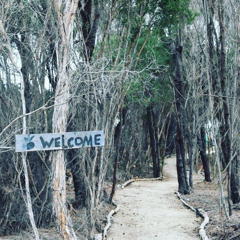 Flinders Island Glamping - South Australia Travel 0