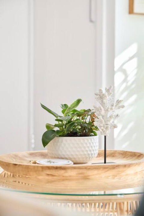 Beach Loft - On The Esplanade - South Australia Travel 2