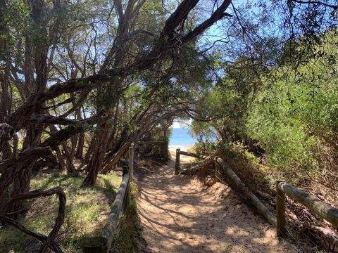 Beach Park Phillip Island - Cabins - South Australia Travel 4