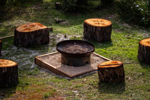 Beachcomber - South Australia Travel 2