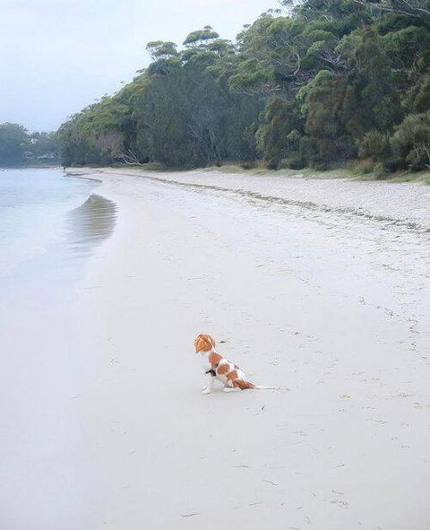 Beachside Haven - Your Perfect Oasis Home - South Australia Travel 3