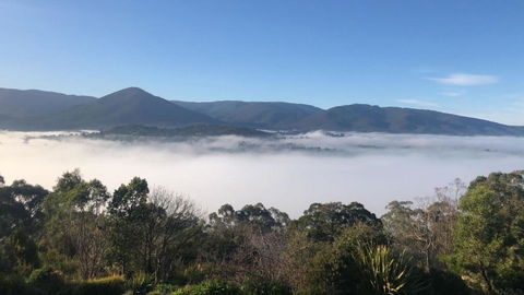 Beauty Of Healesville - South Australia Travel 3