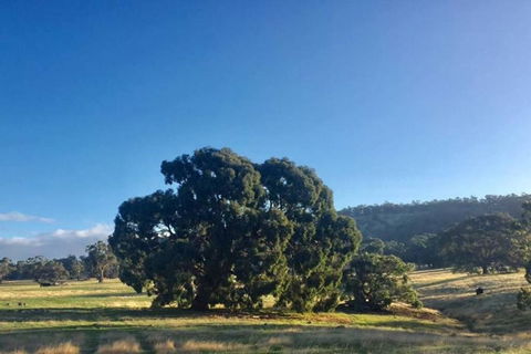 Beckworth Retreat - Ahh, The Serenity! - South Australia Travel 1