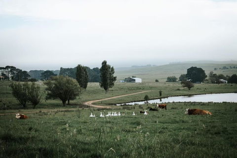 Bedervale Tiny By Tiny Away - South Australia Travel 1