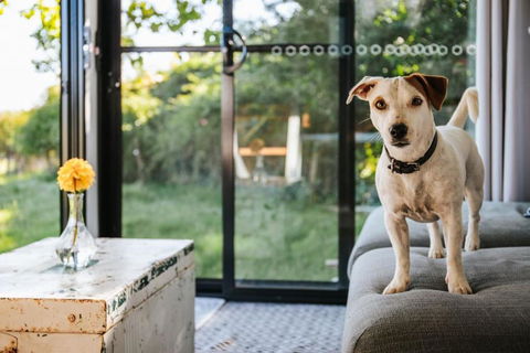 Bedervale Tiny By Tiny Away - South Australia Travel 2