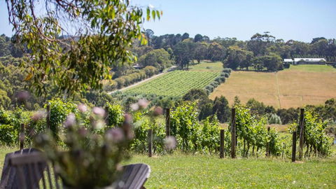 Bellas Block - South Australia Travel 4