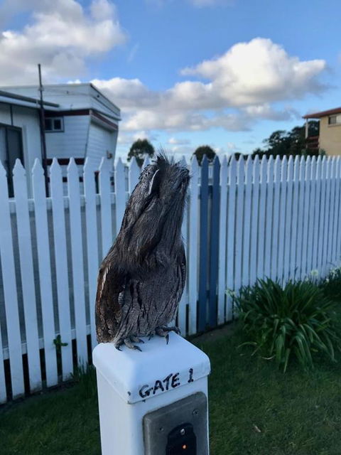 BIG4 Kelso Sands Holiday & Native Wildlife Park - South Australia Travel 2