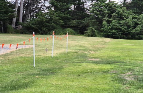 BIG4 Kelso Sands Holiday & Native Wildlife Park - South Australia Travel 1