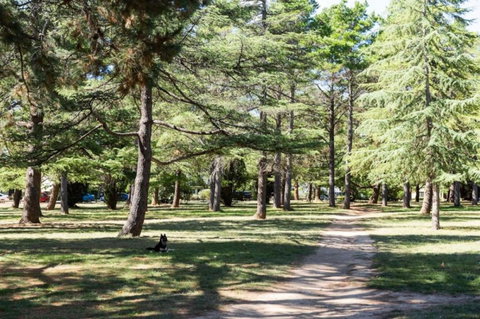 Braddon Studio: Parking & BBQ - South Australia Travel 3