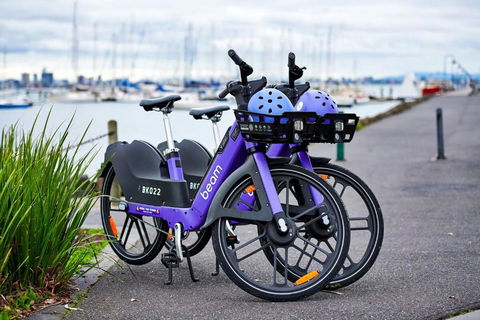 Contemporary Family Oasis In The Heart Of Newport - South Australia Travel 3