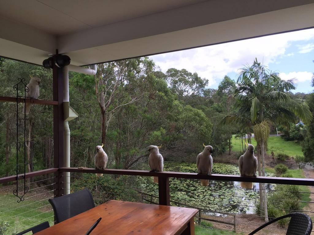 Upper Coomera QLD South Australia Travel