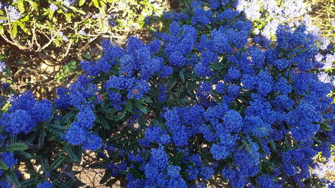 505 CONROD STRAIGHT MOUNT PANORAMA - South Australia Travel 2