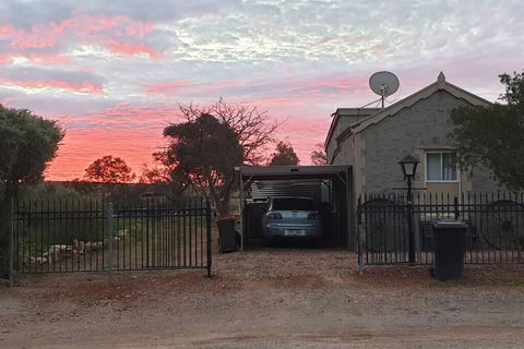 A Real Bush Retreat. Kangas, Emus & Starry Skies. - South Australia Travel 1