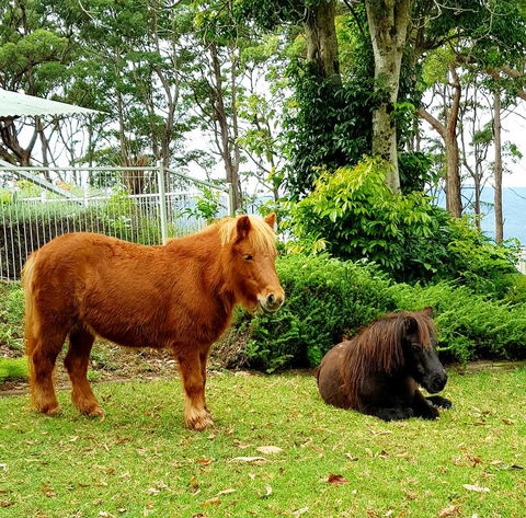 Aaronlee Retreat - South Australia Travel 1