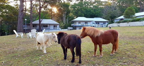 Aaronlee Retreat - South Australia Travel 2