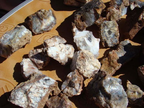 Acclaim Gateway Tourist Park - South Australia Travel 1