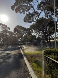 Book Norseman Accommodation Vacations South Australia Travel South Australia Travel