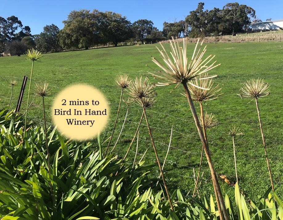 Charleston SA South Australia Travel