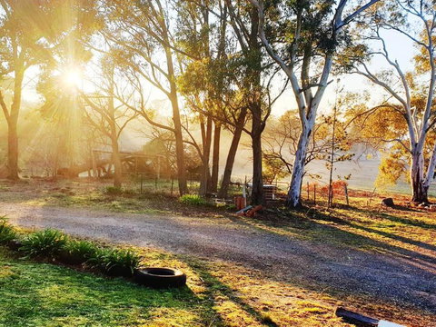 Eco - Relax And Unwind - Greenwich Park - South Australia Travel 0