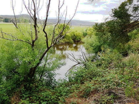 Eco - Relax And Unwind - Greenwich Park - South Australia Travel 3