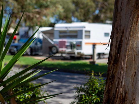 Echo Holiday Parks - Windsor Gardens - South Australia Travel 4