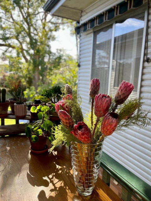 En-suite Guest Room Ryde/Macquarie Park/Eastwood - South Australia Travel 4