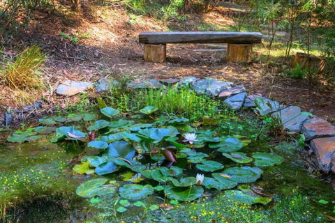 Escape To Tranquil Bliss In Fernview On Falls - South Australia Travel 3