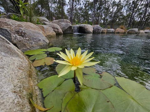 Eureka Station Camping Retreat - South Australia Travel 4