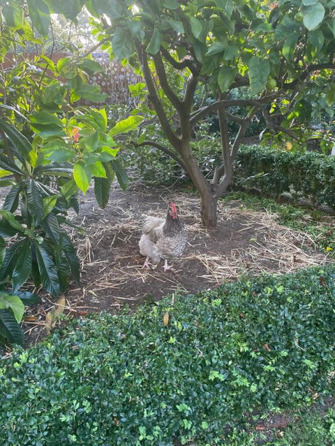 Gateway To The Peninsula - South Australia Travel 1